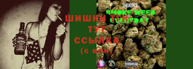 Канабис Ganja  Высоцк 